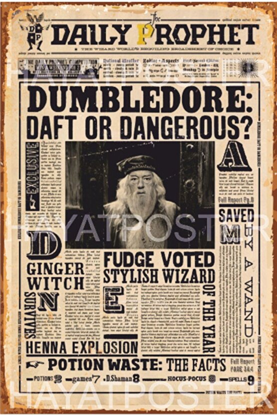 Harry Potter Gazetesi Dumbledore Retro Vintage Ahşap Poster