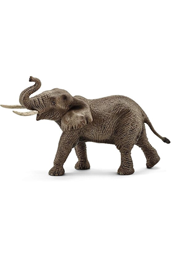 Schleich Erkek Afrika Fili 14762