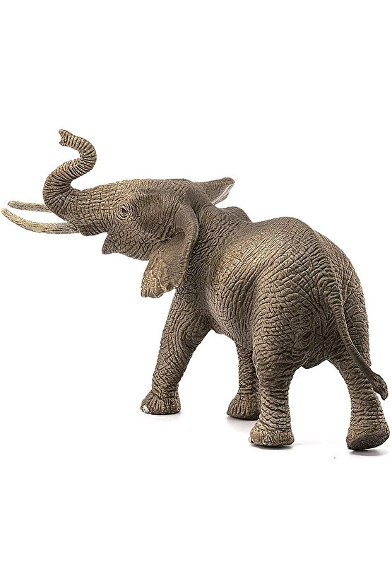 Schleich Erkek Afrika Fili 14762