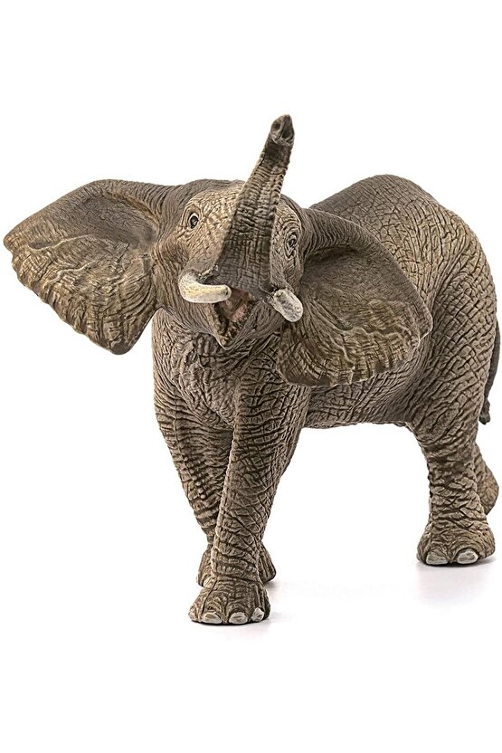 Schleich Erkek Afrika Fili 14762