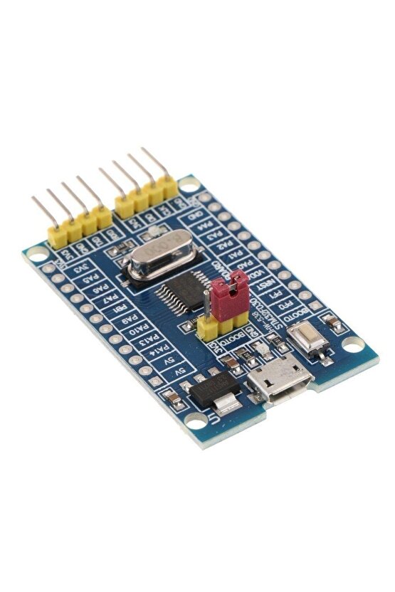 Stm32f030f4p6 Geliştirme Kartı