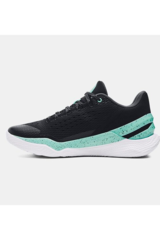 Unisex Curry 2 Low FloTro Basketbol Ayakkabısı 3026276-001