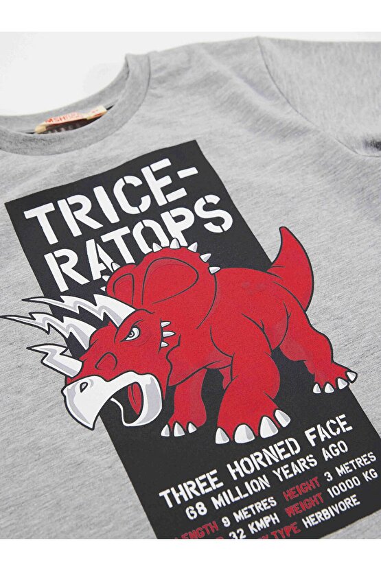 Triceratops Erkek Çocuk T-shirt Kapri Şort Takım