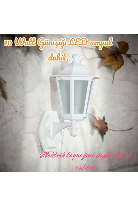 10 W. Günışığı LED Ampullü, Dekoratif Bahçe, Balkon, Teras, Kapı Giriş Apliği, Bahçe Duvar Armatürü