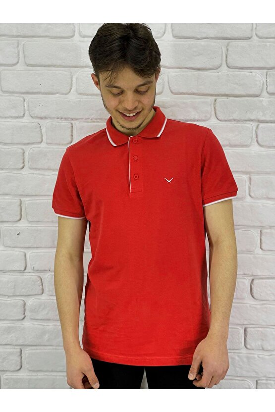 Erkek Lacost Çizgili Polo Yaka T-shirt Czdr