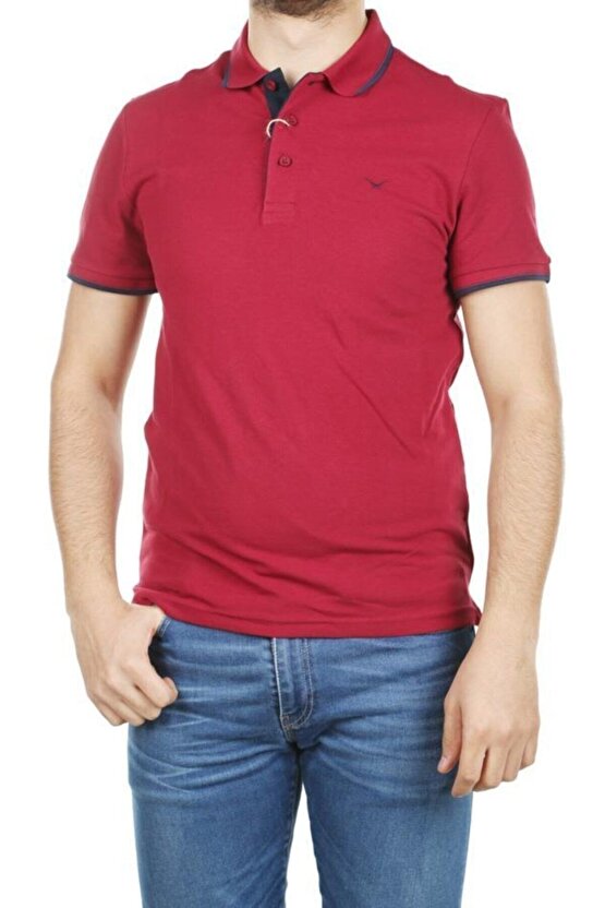 Erkek Lacost Çizgili Polo Yaka T-shirt Czdr