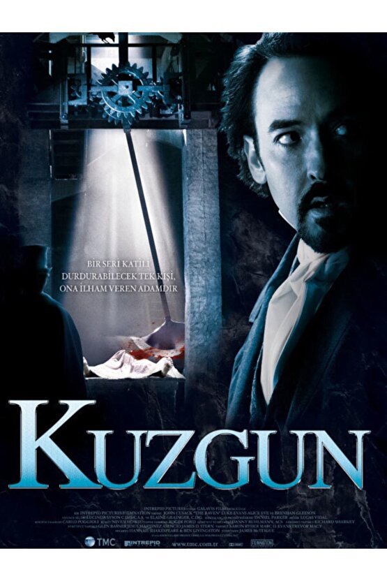 Raven  Kuzgun