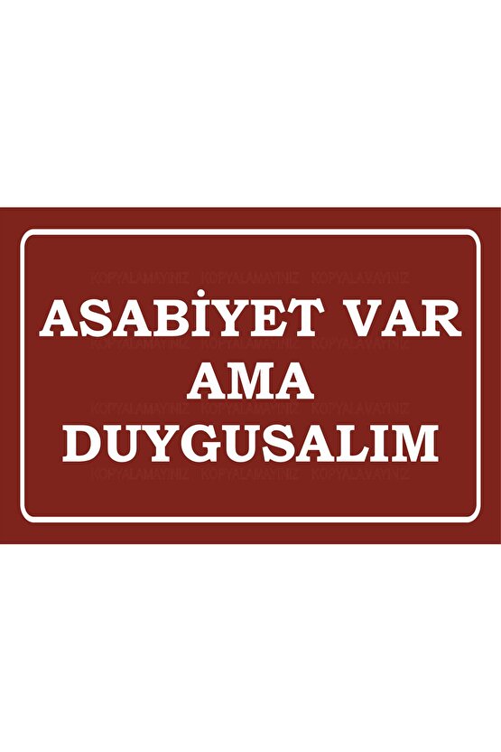 asabiyet var ama duygusalım komik atarlı sözler duvar yazıları retro ahşap poster tablo