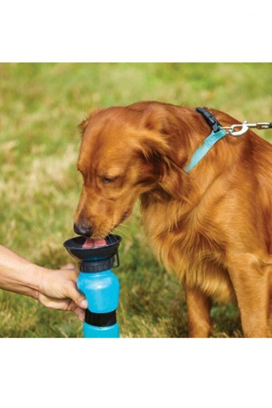 Köpek Seyahat Suluğu Su Şişesi 500ml Mavi