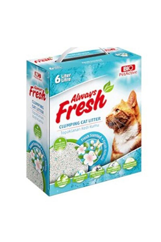 Always Fresh Ferah Kokulu Topaklanan Bentonite Kedi Kumu 6 Lt