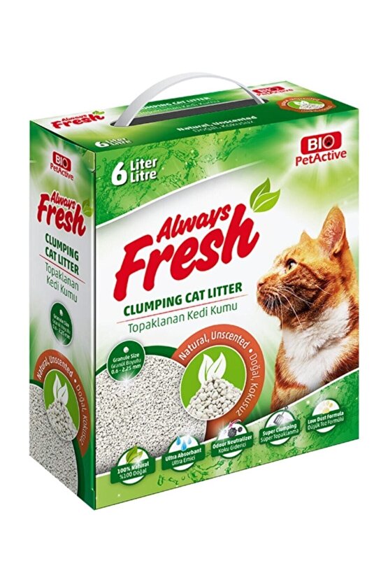 Always Fresh Doğal Kokusuz Topaklanan Kedi Kumu 6 Litre