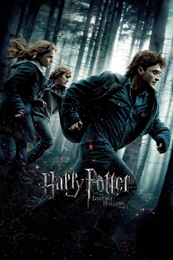 Harry Potter and the Deathly Hallows Part 1 (2010) 2 ( FOLYO ) - AFİŞ - POSTER-3350