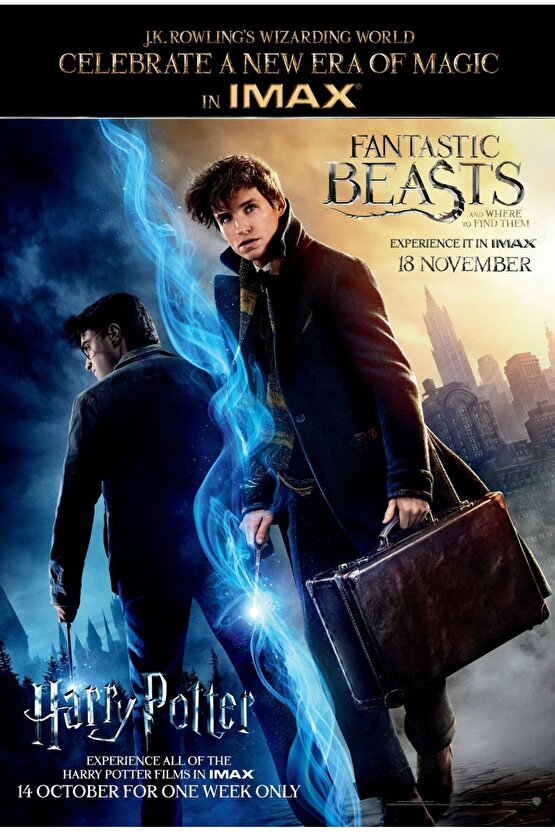 Fantastic Beasts and Where to Find Them (2016) 5 ( FOLYO ) - AFİŞ - POSTER-2773