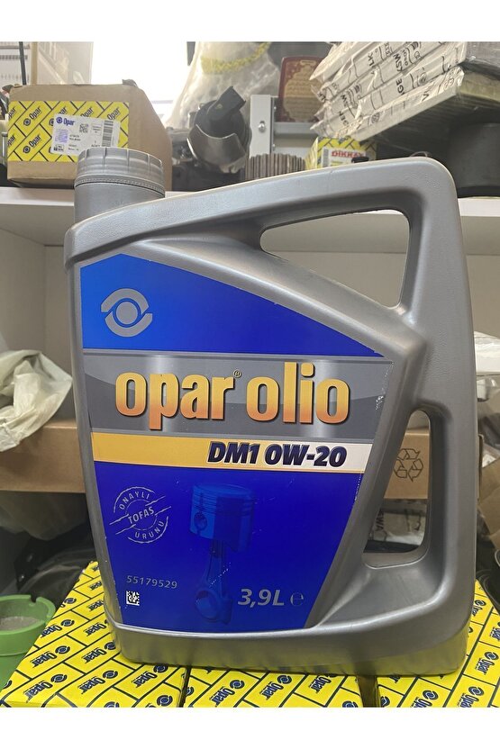 Olio Dm1 0w20 3,9 lt - 55179529