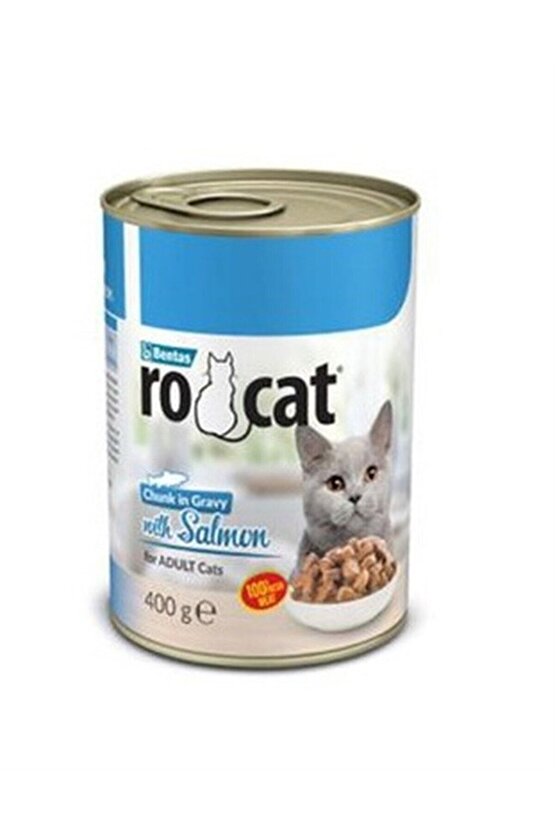 RO-CAT Somonlu Yetişkin Parça Etli Kedi Konservesi 400 Gr