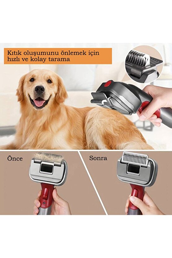 3ü 1 arada Evcil Hayvan Tüy Bakım Fırçası Dyson için uyumlu Bağlantı Adaptörü Dahil