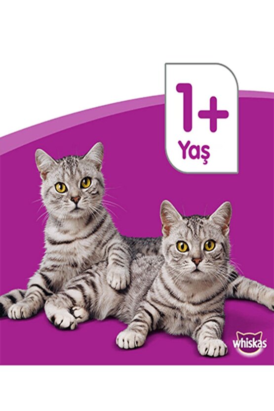 Marka: Kuru Kedi Maması 1,4 Kg Ton Balıklı 5998749129968 Kategori: Kedi Kuru Maması