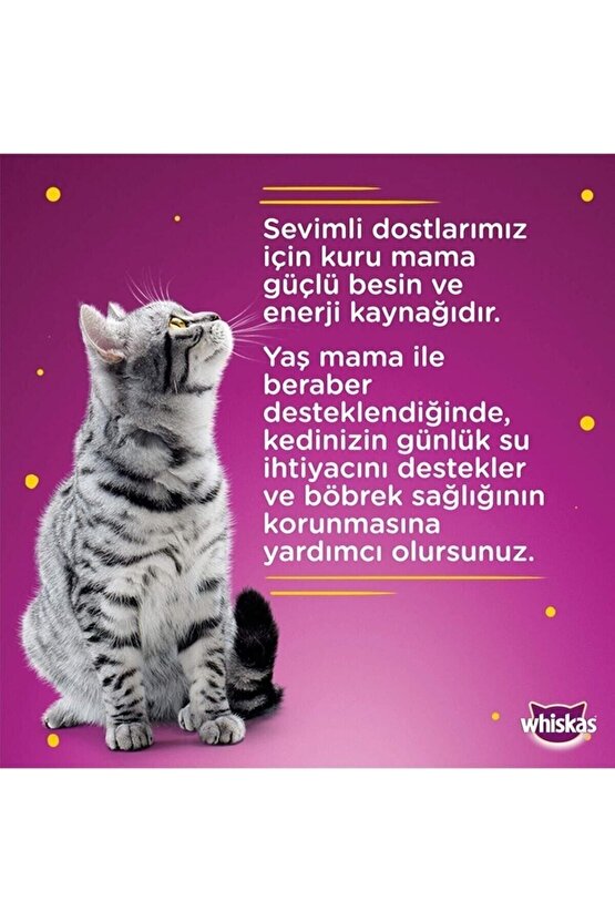 Marka: Kuru Kedi Maması 1,4 Kg Ton Balıklı 5998749129968 Kategori: Kedi Kuru Maması