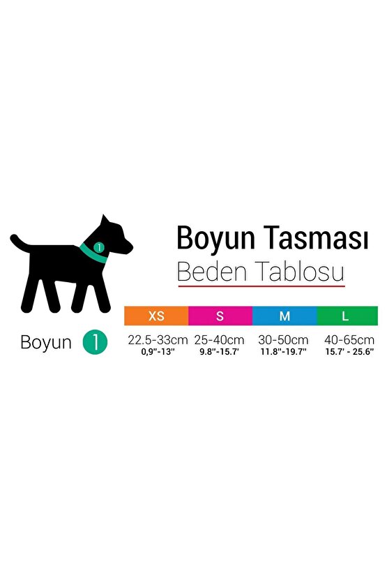 Köpek Boyun Tasması Paisley L