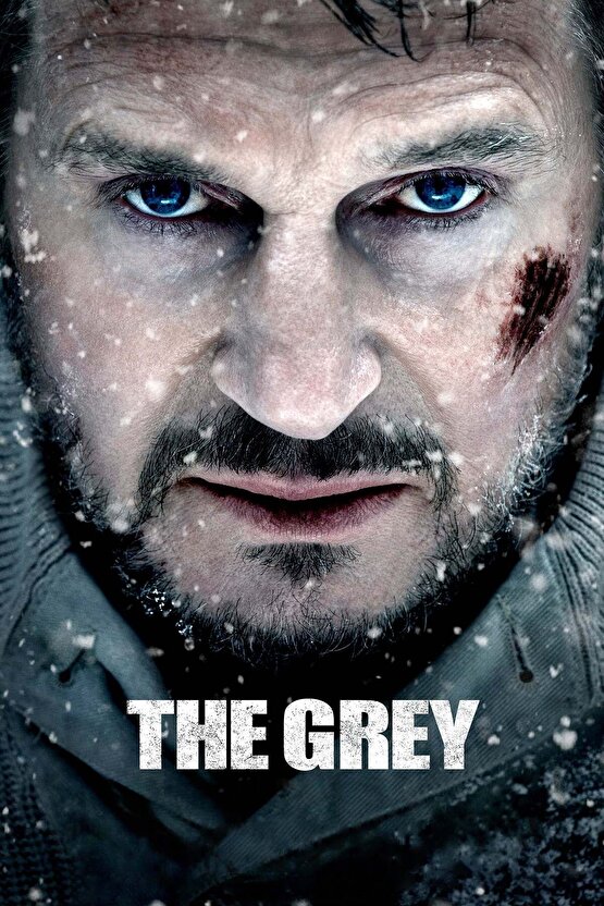 The Grey 2012 01 AFİŞ POSTER