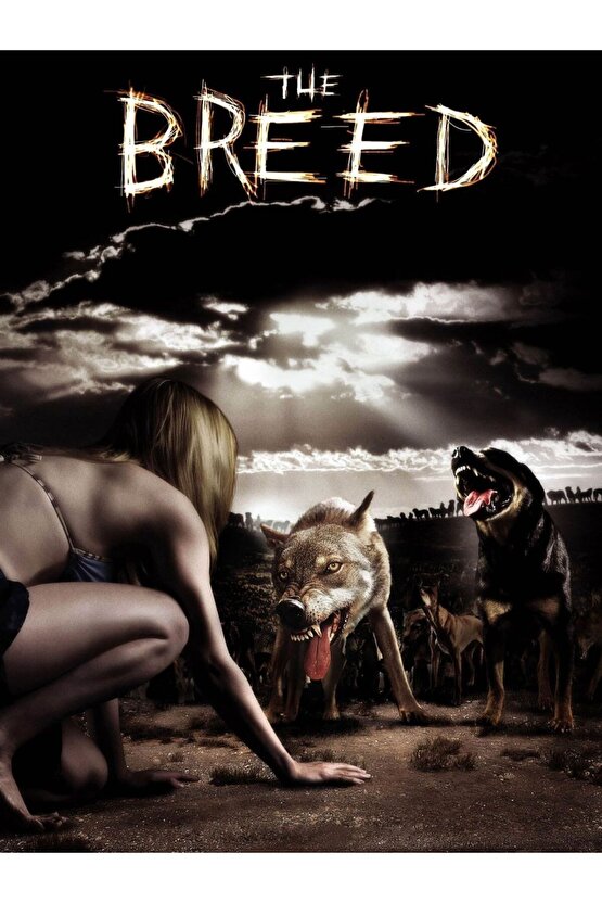 The Breed (2006) AFİŞ - POSTER ( FOLYO ) - AFİŞ - POSTER-6656