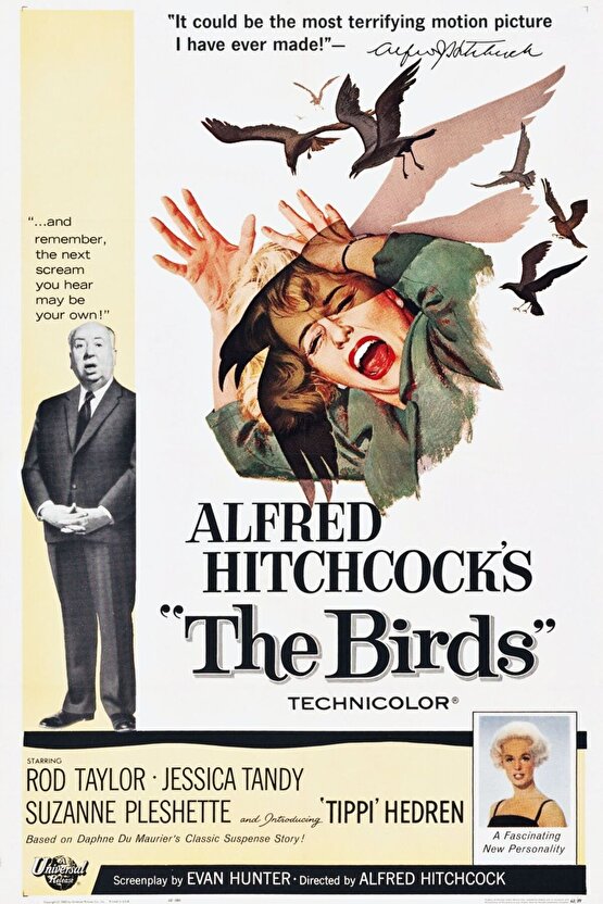 The Birds (1963) 3 AFİŞ - POSTER ( FOLYO ) - AFİŞ - POSTER-6607