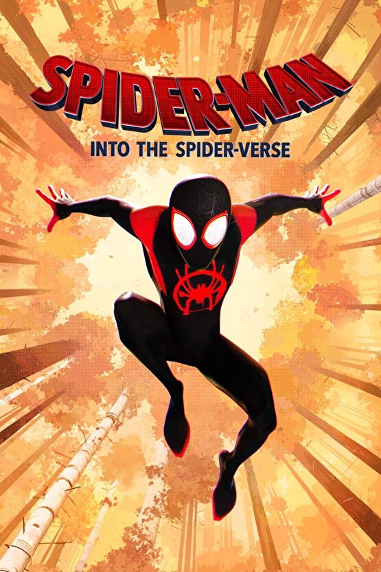 Spider-Man Into the Spider-Verse (2018) 12 AFİŞ - POSTER ( FOLYO ) - AFİŞ - POSTER-5972