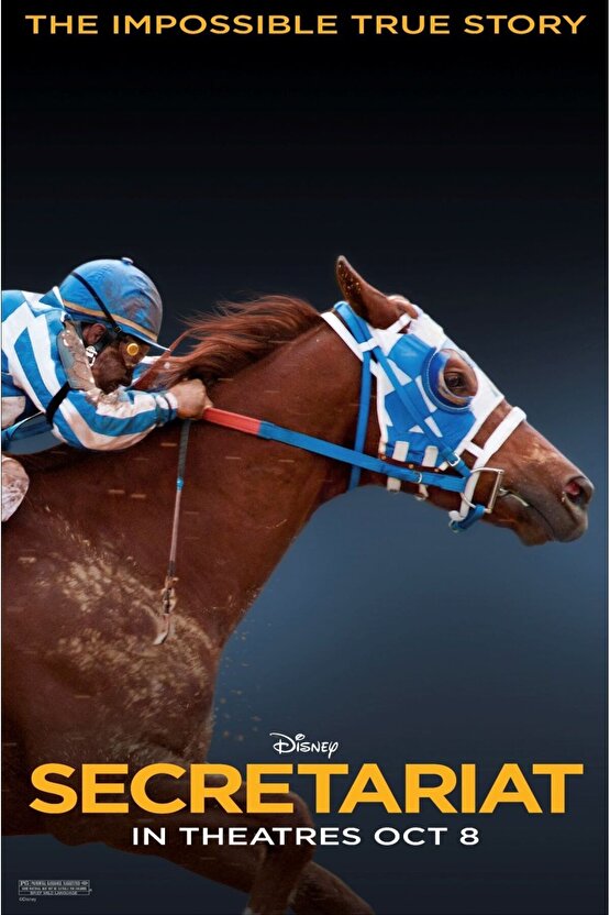 Secretariat (2010) AFİŞ - POSTER ( FOLYO ) - AFİŞ - POSTER-5669