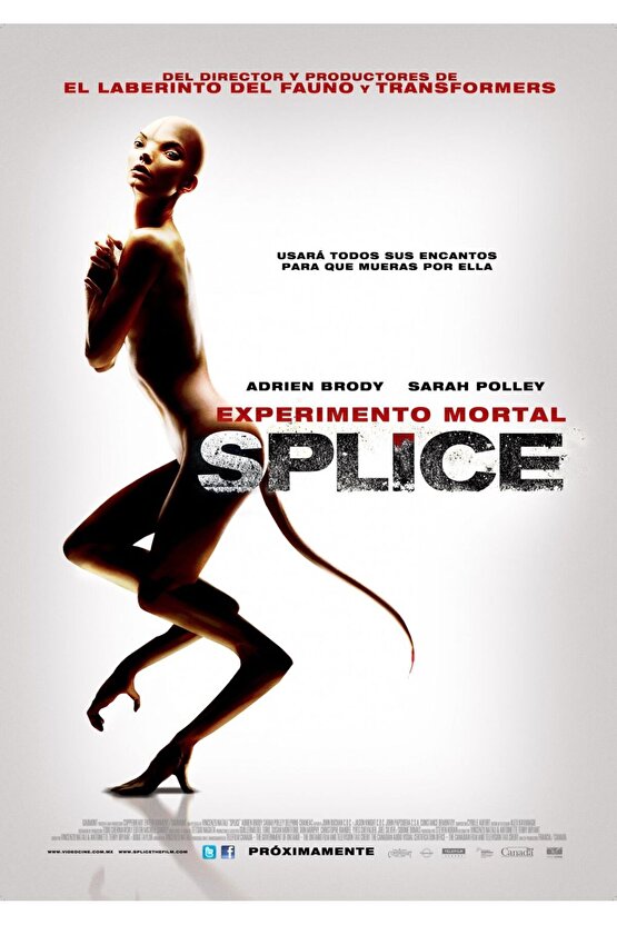 Splice (2009) 2 AFİŞ - POSTER ( FOLYO ) - AFİŞ - POSTER-6011