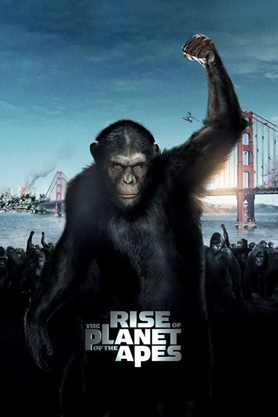 Rise of the Planet of the Apes (2011) AFİŞ - POSTER ( FOLYO ) - AFİŞ - POSTER-5462