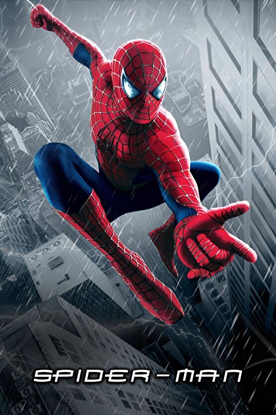 Spider-Man (2002) AFİŞ - POSTER ( FOLYO ) - AFİŞ - POSTER-5899