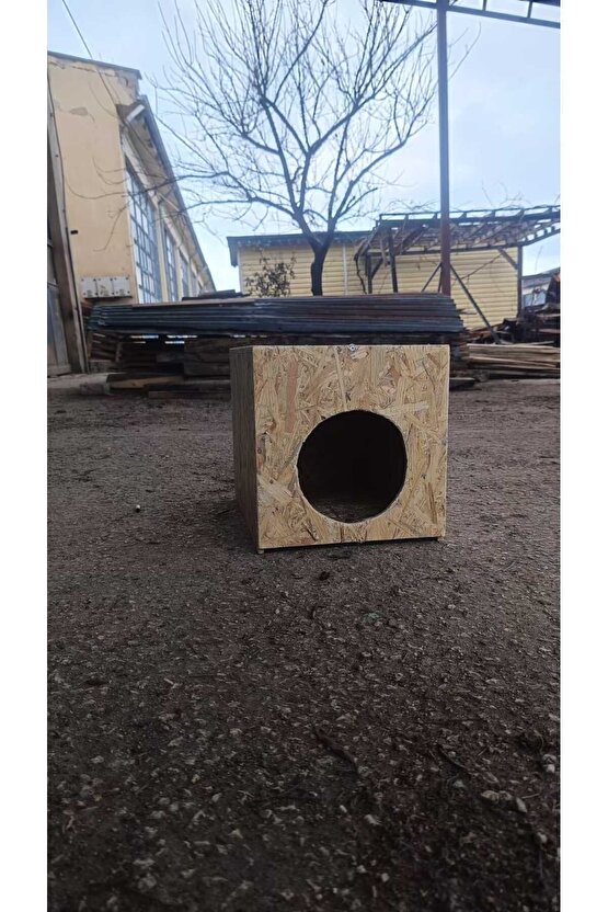 Ahşap Osb Yağmura Dayanıklı Kedi Yuvası Kedi Evi