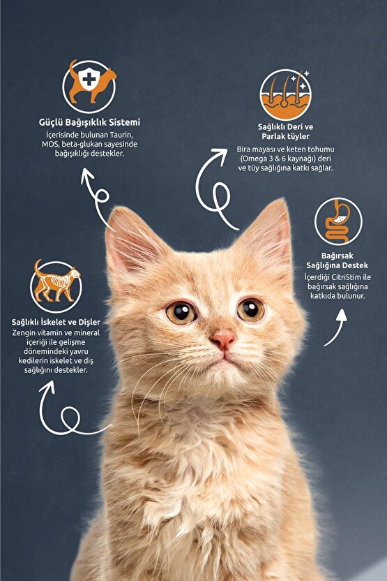 Kitten Tavuk Etli 15 Kg Yavru Kedi Maması