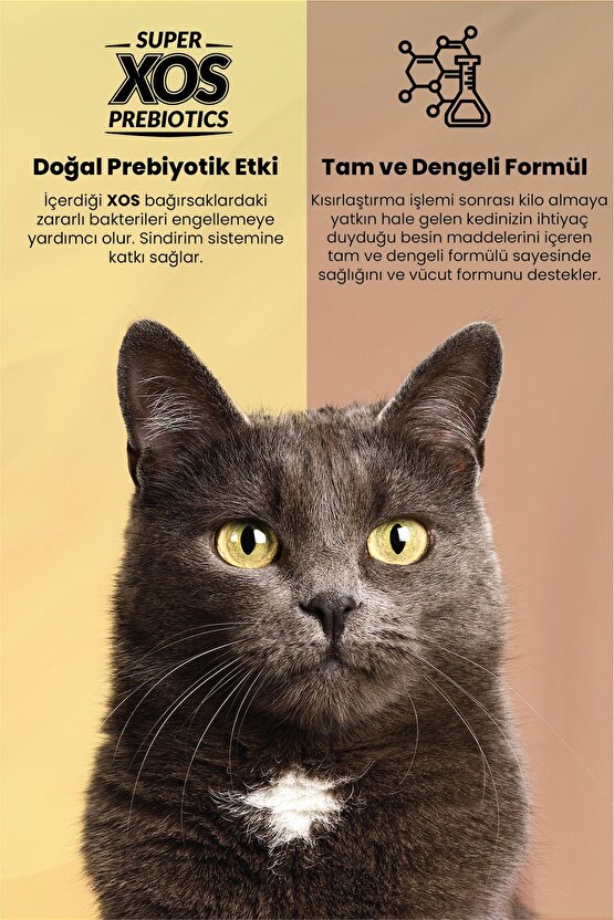 Plus Sterilised Kısırlaştırılmış Somonlu Kedi Maması 8 Kg