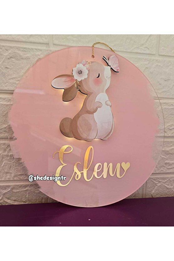 Kız Bebek İsmine Özel Hazırlanan Tavşanlı Şeffaf Pleksi Kapı Süsü Pudra