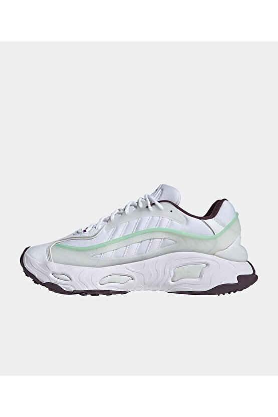 Oznova Kadın Sneaker