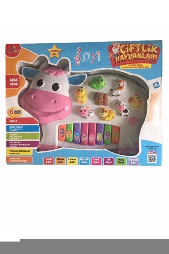 6lı Paket Kız Çocuk Boxer