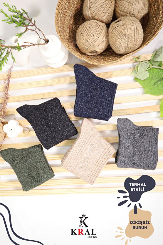 STD Lambswool 5’li Renkli Paket Dikişsiz Yün Erkek Çorap Klasik