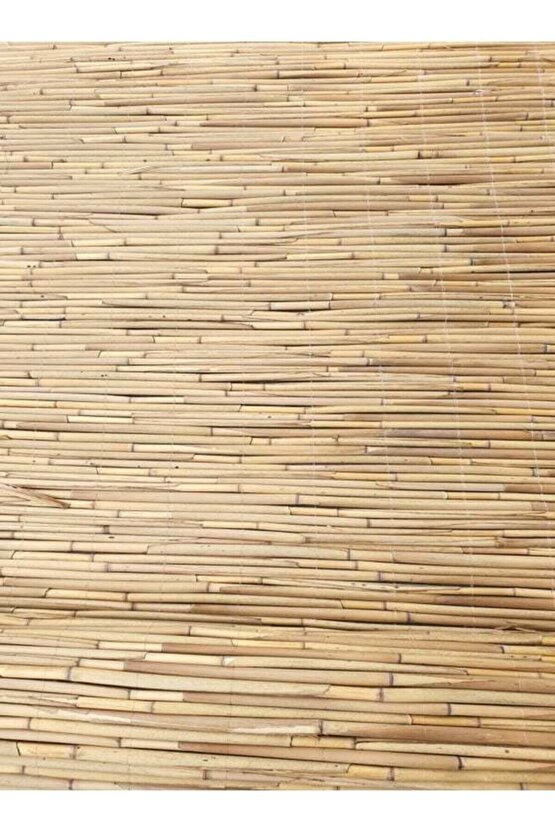 Kamış Çit Hasır Çit 1x4,5 Metre Eni 1 Metre Uzunluk 4,5 Metre