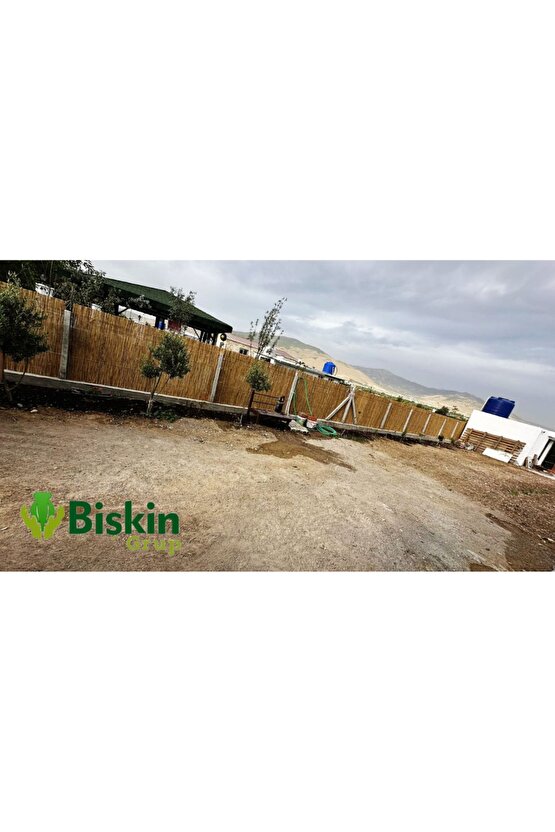 230CM Yükseklik X 300CM Genişlik Doğal Bambu Kamış Hasır Çit Dekoratif Bahçe Balkon ve Duvar Çiti .