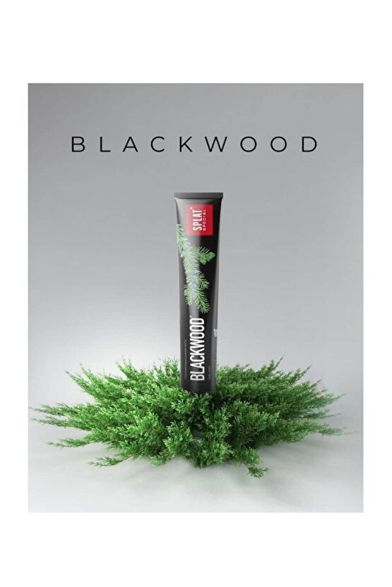 Blackwood Beyazlatıcı Siyah Diş Macunu 75 ml