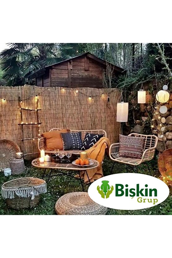 185CM Yükseklik X 300CM Genişlik Doğal Bambu Kamış Hasır Çit Dekoratif Bahçe Balkon ve Duvar Çiti .