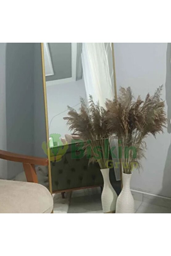 Kuru Çiçek Doğal Pampas 40 Adet