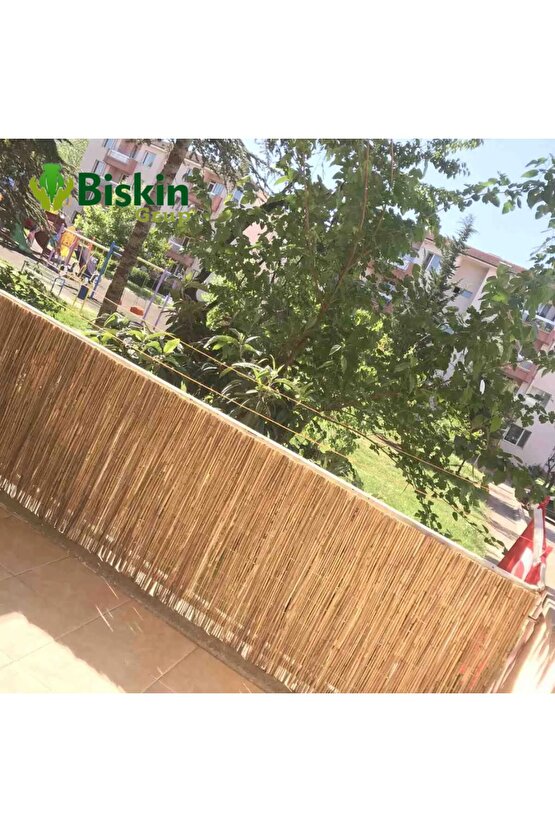 60cm x 6m Doğal Bambu Kamış Hasır Çit | Bahçe ve Balkon Dekorasyonu, Misina İpli Gölgelik