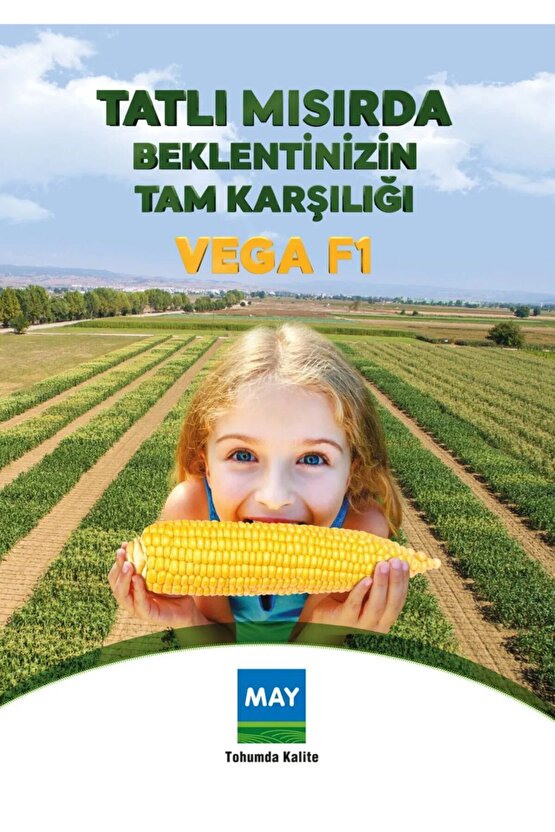 May Vega F1 Tatlı Mısır Tohumu 10000 Adet