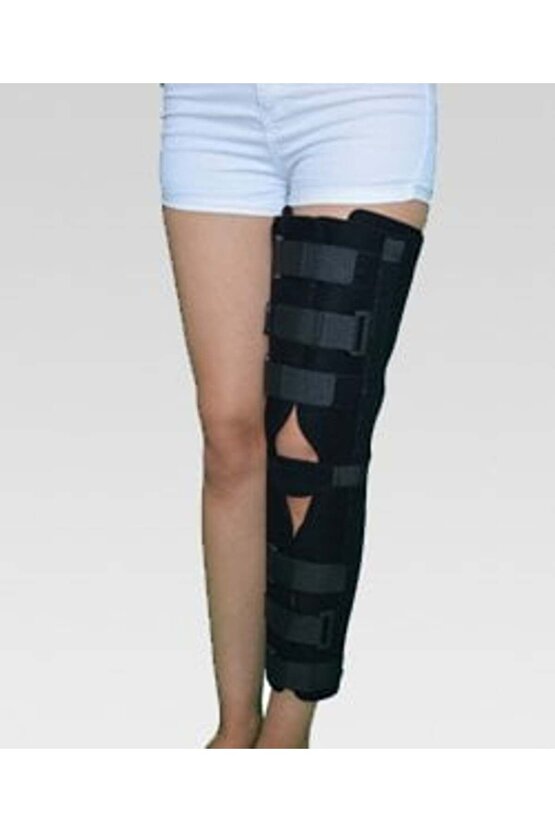 Standart Posterior Shell Diz Sabitleyici 65 Cm. Standart
