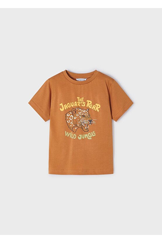 Erkek Çocuk Penye Takım 2 Tshirtlü