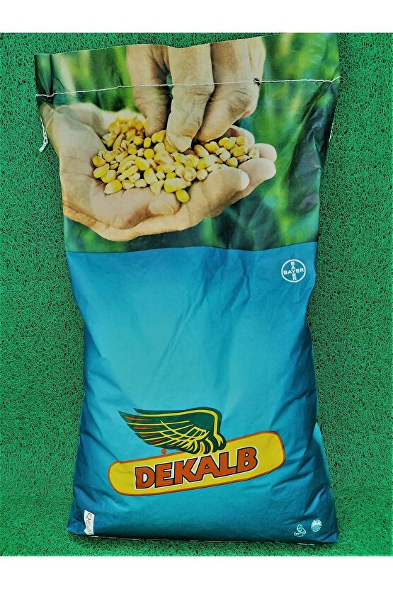 Dekalp 5709 Danelik Mısır Tohumu 50000 Ad