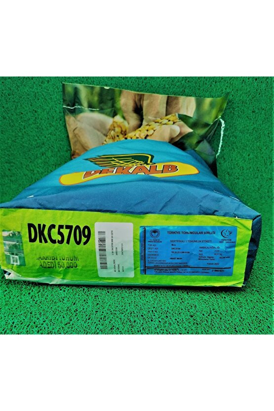 Dekalp 5709 Danelik Mısır Tohumu 50000 Ad