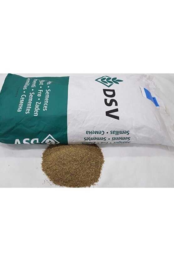 Ingiliz Çimi 250 Gr Ingiliz Çim Tohumu Lolium Perenne Ithal Çim Tohumu